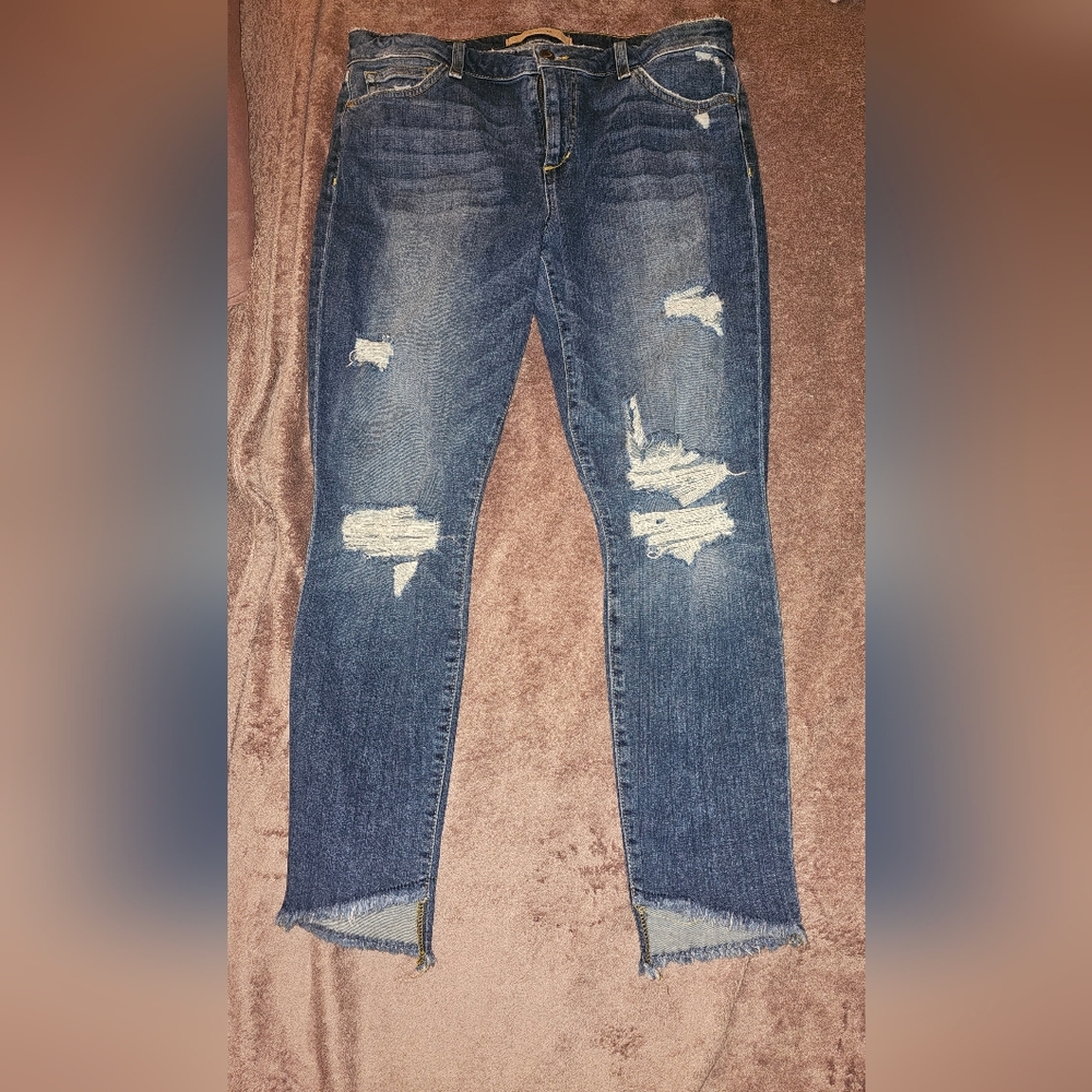 Joe's Jeans Distressed Skinny Blue Denim